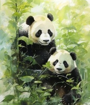 Sa. 02.05.26 - Pandas
