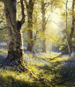 So. 10.05.26 - Große Bäume