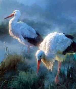 So. 17.05.26 - Zwei Störche