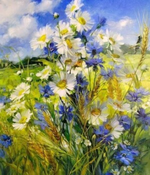 Do. 28.05.26 - Feldblumen