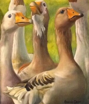 Mi. 03.06.26 - Gänse