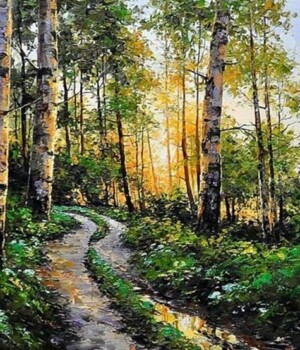 So. 28.06.26 - Weg mit Birken